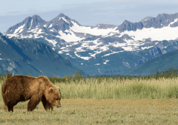 alaska - Georgia