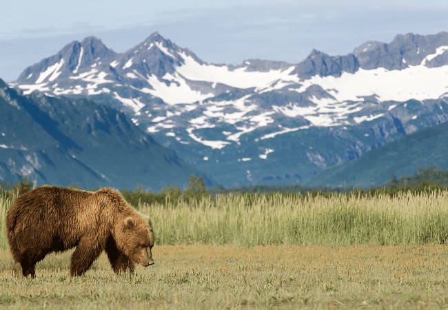 alaska - Georgia