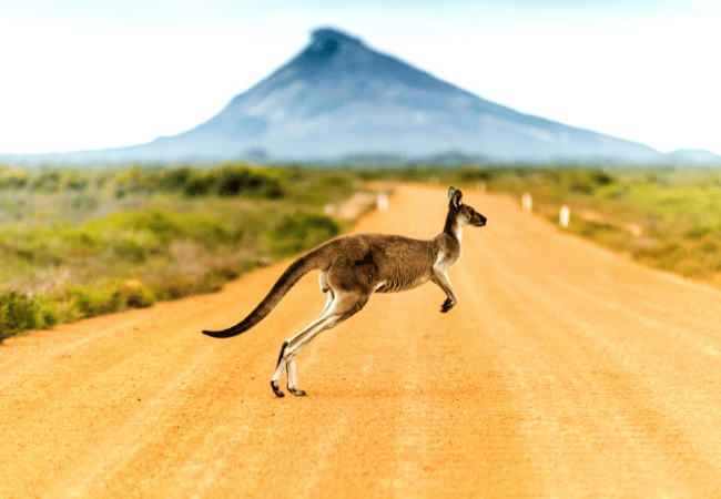 Terra di Mezzo Viaggi - Destinazione - Australia