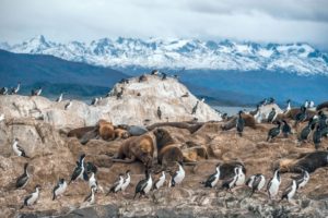 Terra di Mezzo Viaggi - Destinazione - Argentina e Patagonia Terra di Mezzo Viaggi - Destinazione - Argentina e Patagonia