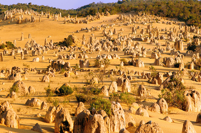 Terra di Mezzo Viaggi - Australia Cervantes Terra di Mezzo Viaggi - Australia Cervantes