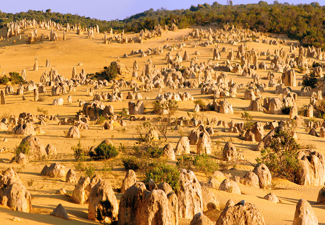 Terra di Mezzo Viaggi - Australia Cervantes